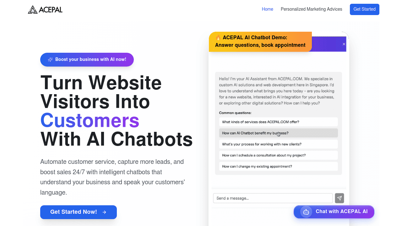 ACEPAL interface screenshot showing main features and user interface