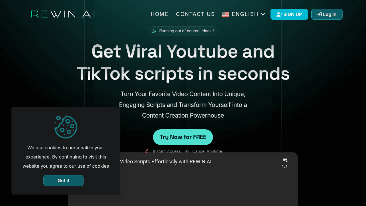 Rewin AI interface screenshot showing main features and user interface