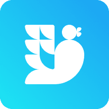 A favicon of BrandBird