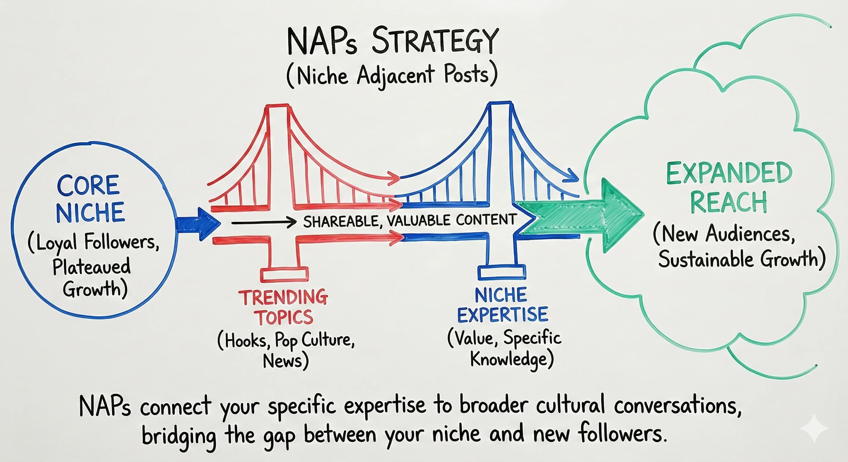 NAPs Strategy: How Niche Influencers Can Expand Their Reach - Blog post thumbnail