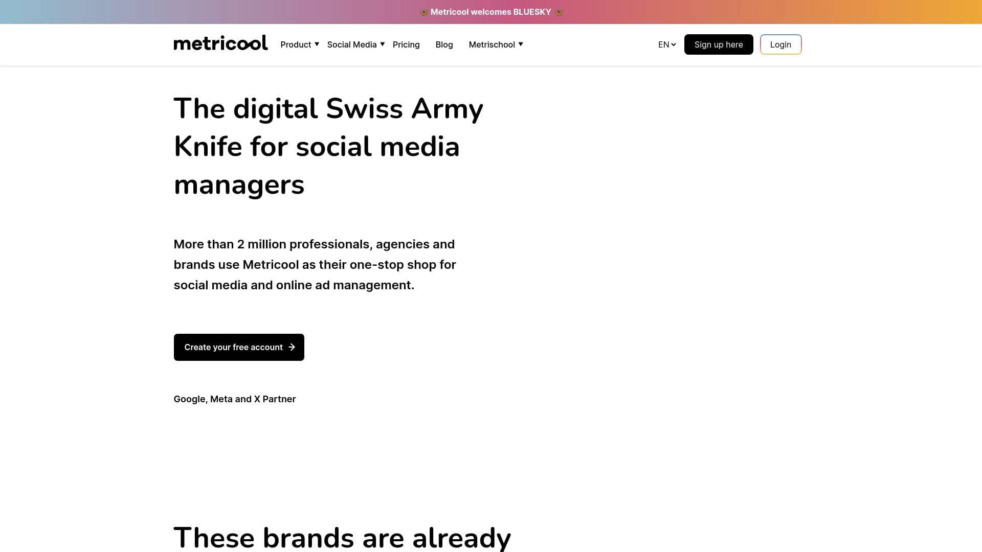 METRICOOL interface screenshot showing main features and user interface